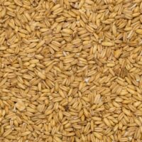 BIO ovos 5 kg