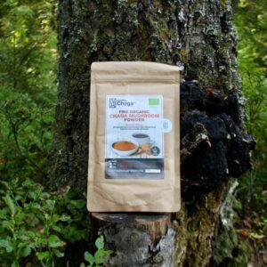 Bio čaga - prášok 100 g-1