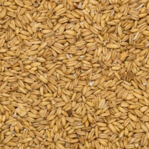 BIO ovos 5 kg