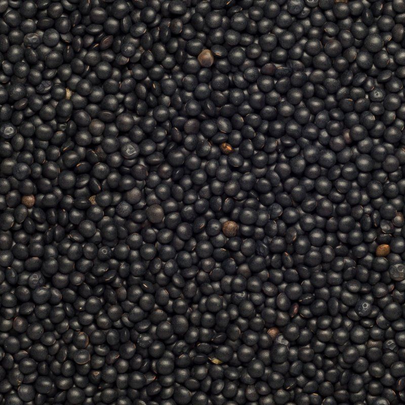 Bio beluga-čierna šošovica