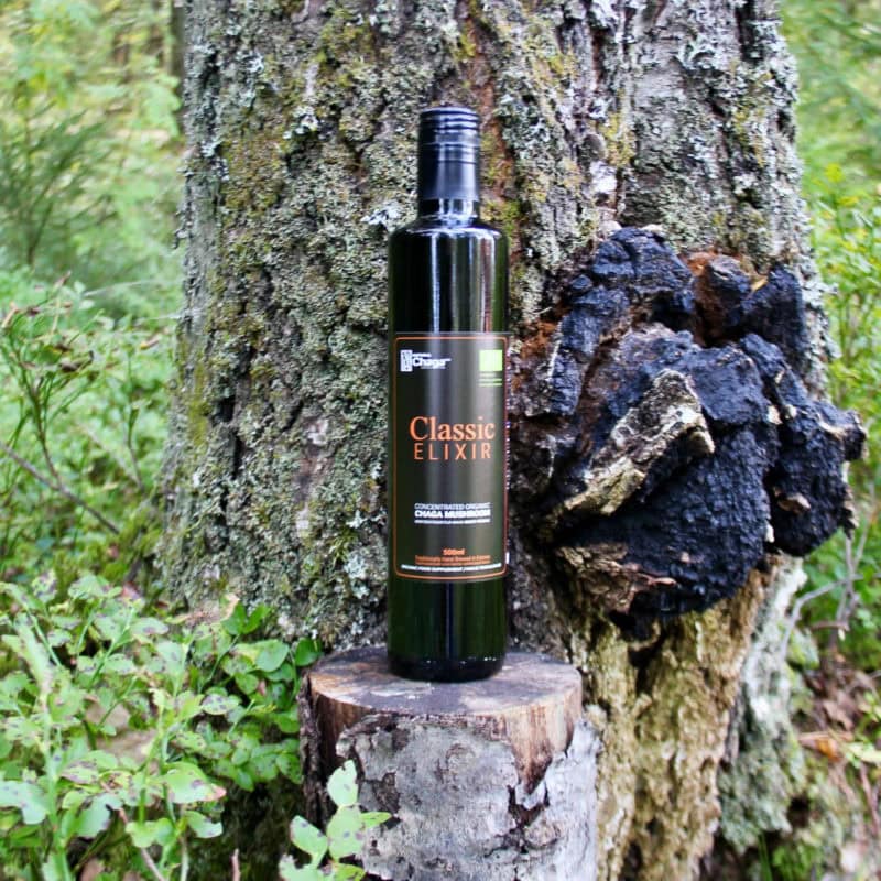 Bio čaga - elixír 500 ml-1