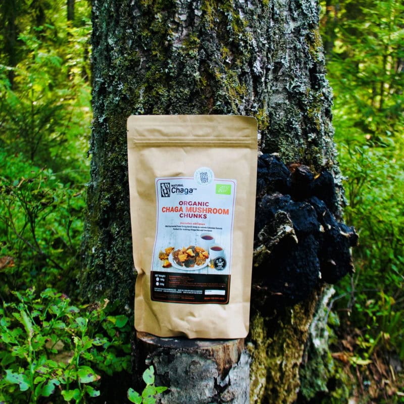 Bio čaga - kúsky 100 g-1