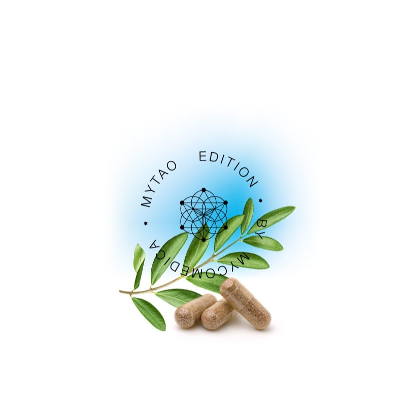 MyStress – 90 kapsúl