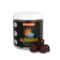 Cordyceps–gumove-cukriky-60-ks