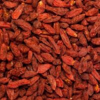 Kustovnica čínska