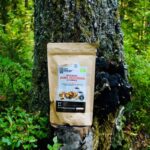 Bio čaga - kúsky 100 g-1