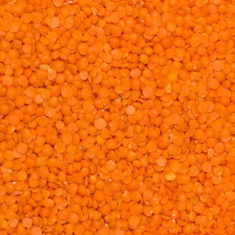 BIO červená šošovica 5 kg