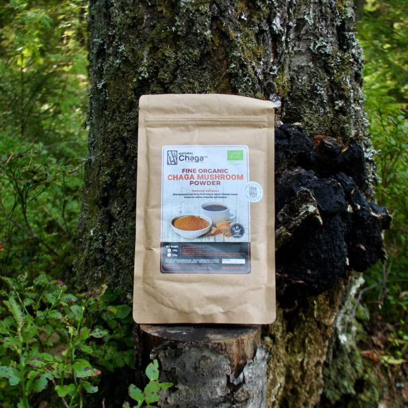 Bio čaga - prášok 100 g-1