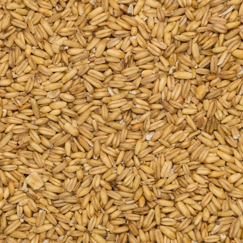 BIO ovos 5 kg