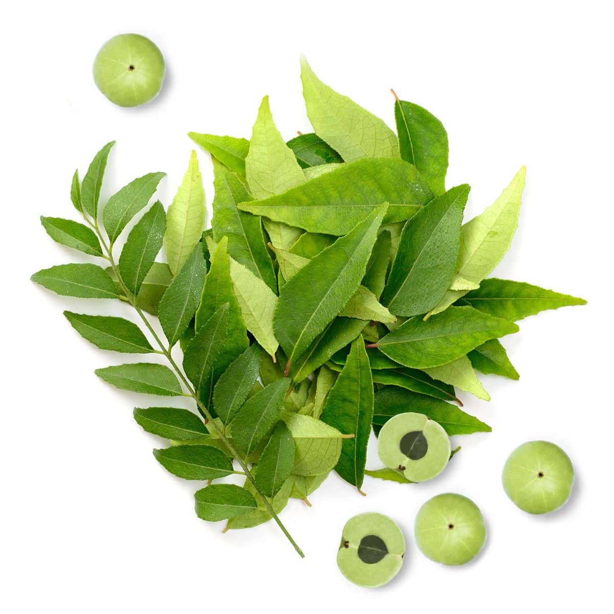 Listy kari a amla