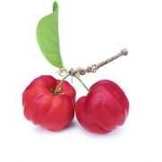 Acerola čerešna